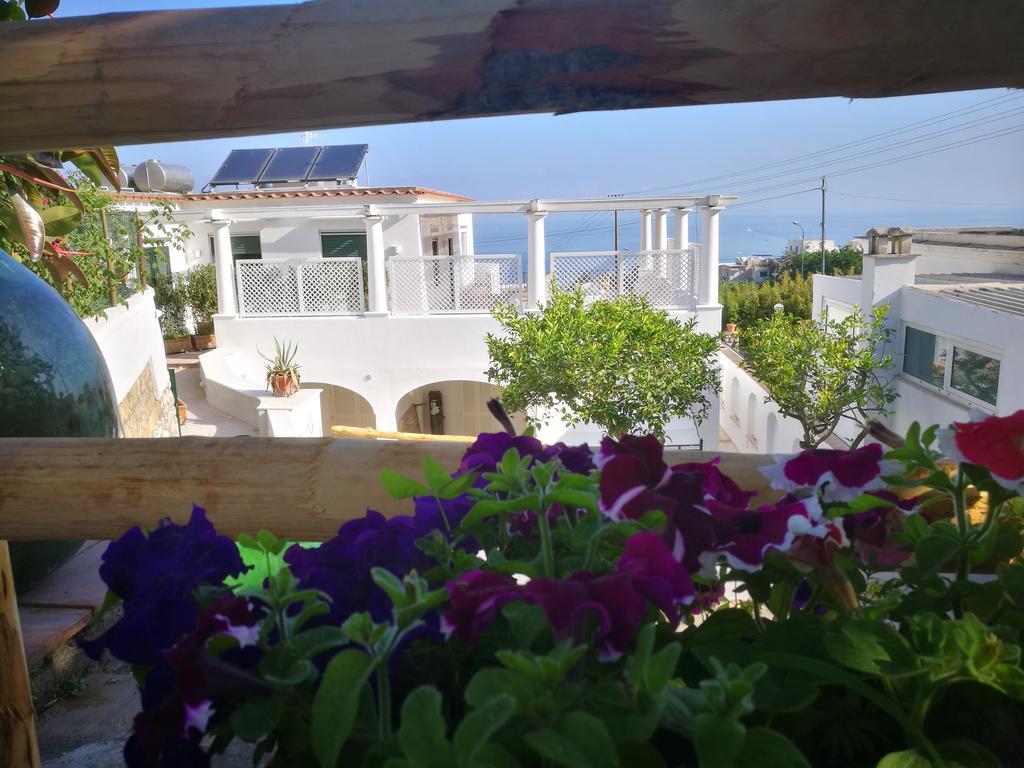 Villa Patrizi Капрі Екстер'єр фото